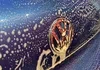 ダウンロード (13)