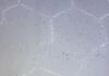 imgi_3_