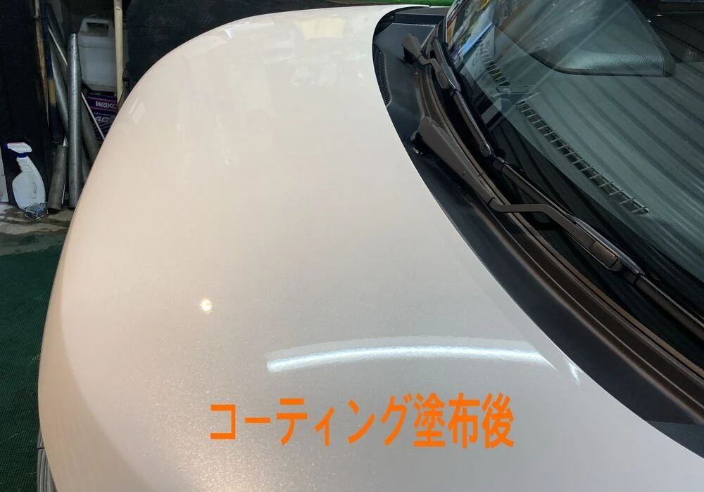 ダウンロード (2)