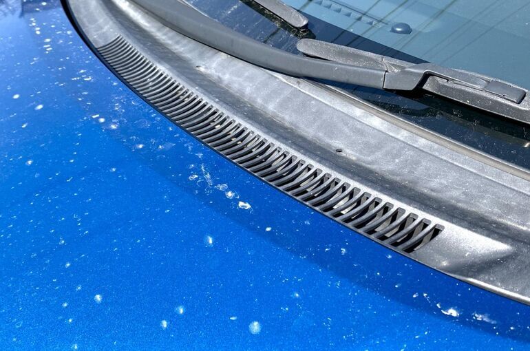 花粉シミの原因と予防策を解説！洗車とカーコーティングで守るボディケア術
