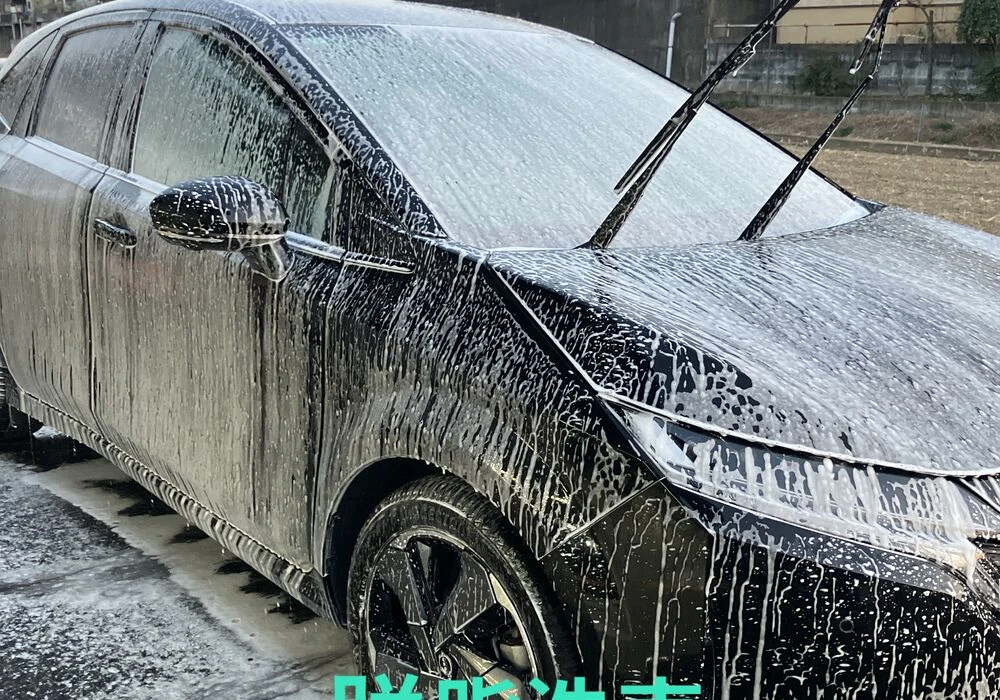 脱脂洗車