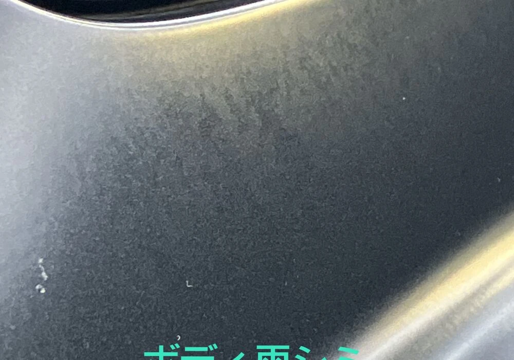 スケール除去前